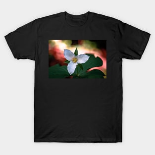 Trillium flower in a forest T-Shirt